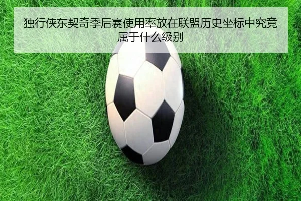 独行侠东契奇季后赛使用率放在联盟历史坐标中究竟属于什么级别